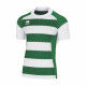 MAILLOT RUGBY TREVISO 3.0 VERT ERREA