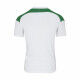 MAILLOT RUGBY TREVISO 3.0 VERT ERREA