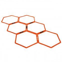 ECHELLE D’AGILITÉ HEXAGONALE ZASTOR