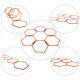 ECHELLE D’AGILITÉ HEXAGONALE ZASTOR