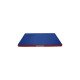 MATELAS DE SECURITE EPAISSEUR 10 CM 200X150X10CM DIMASPORT - 25200