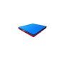 MATELAS DE RECEPTION REPLIABLE EN 2 PARTIES 200X100X10CM DIMASPORT - 23197