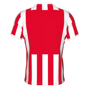 MAILLOT MANCHES COURTES STRIP JUNIOR ERREA