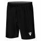 SHORT ELM MACRON
