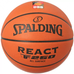 Ballon basket taille 5 DBB REACT TF 250 T5 composite indoor outdoor SPALDING