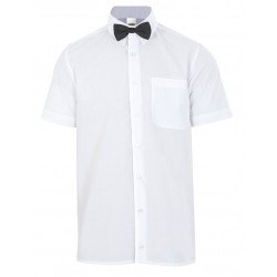 Nœud papillon Hôtellerie VELILLA 56