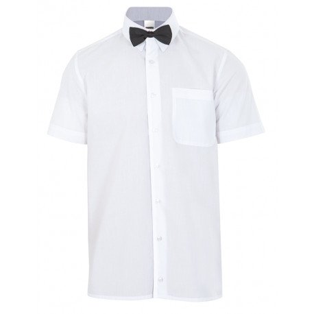 Nœud papillon Hôtellerie VELILLA 56