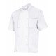 Veste de cuisine à manches courtes Hôtellerie VELILLA 432