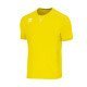 MAILLOT MANCHES COURTES EVERTON ERREA