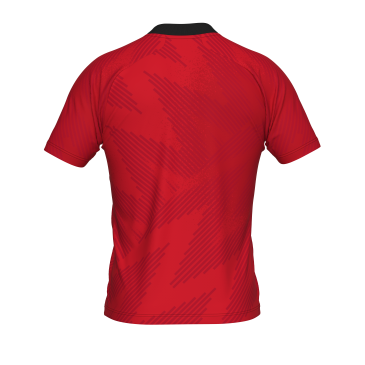 Maillot gardien de buts PETER ERREA