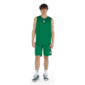 Ensemble Adulte basket-ball maillot WING et short MAXI SKIN ERREA