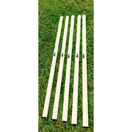 LOT DE 5 JALONS DE SLALOM 80 CM BLANC POWERSHOT