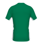 Maillot rugby ERBY ERREA Adulte